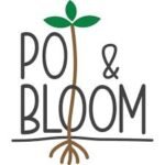 bloom
